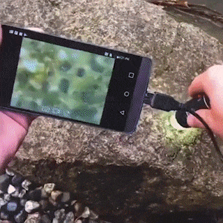 Ultramax Digital Microscope Magnifier Ultramax Digital Microscope Magnifier