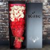 Valentines Day Plush Gift Set
