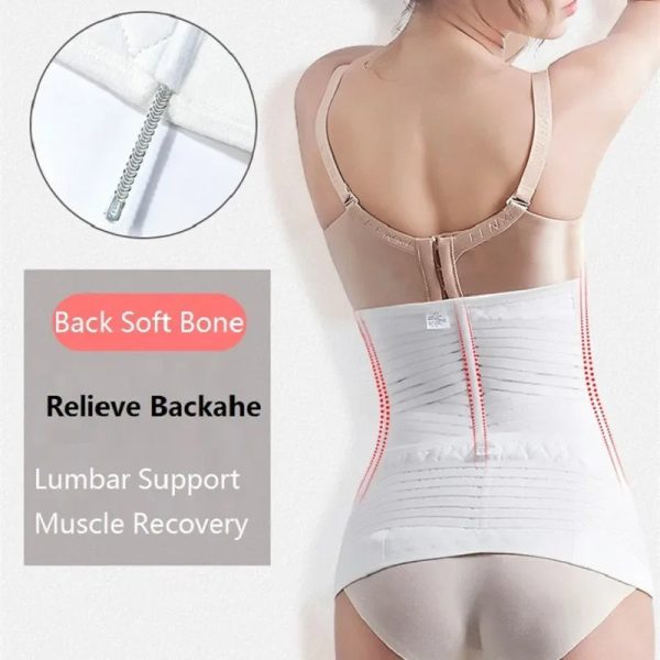 Waist Slimming Shapewear Belt Waist Slimming Shapewear Belt