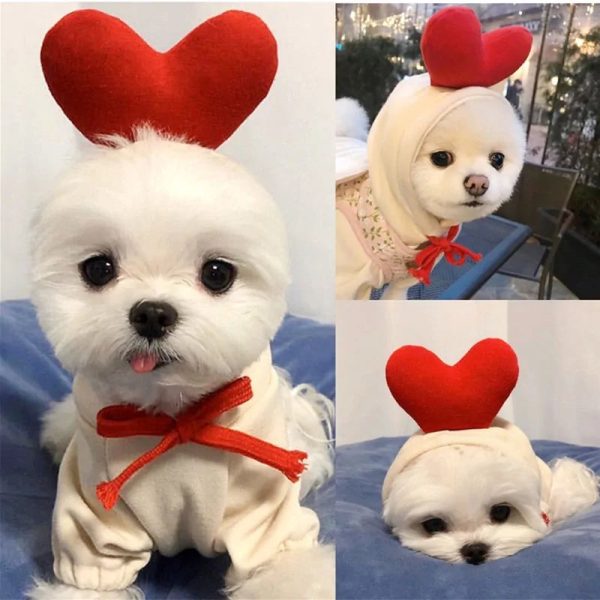 Warm Dog Winter Clothes Cute Fruit Dog Warm Dog Winter Clothes Cute Fruit Dog