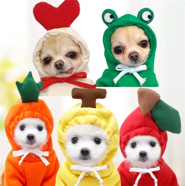 Warm Dog Winter Clothes Cute Fruit Dog Warm Dog Winter Clothes Cute Fruit Dog