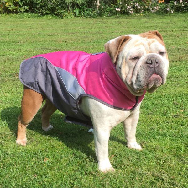 Waterproof Dog Poncho Waterproof Dog Poncho
