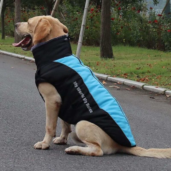 Waterproof Jacket for Dogs