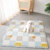 Waterproof Pet Playmat