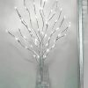 White Birch Branch Light