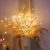 White Birch Branch Light