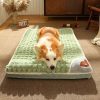 Winter Dog Mat