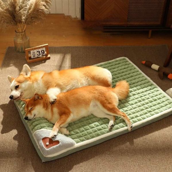 Winter Dog Mat