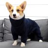 Winter Thick Warm Dog Coat Winter Thick Warm Dog Coat