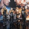 Wrestling Figure Wrestling Figure