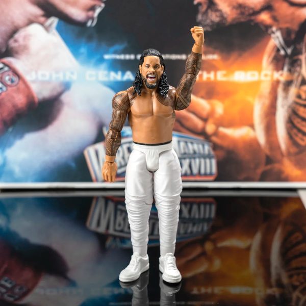 Wrestling Figure Wrestling Figure